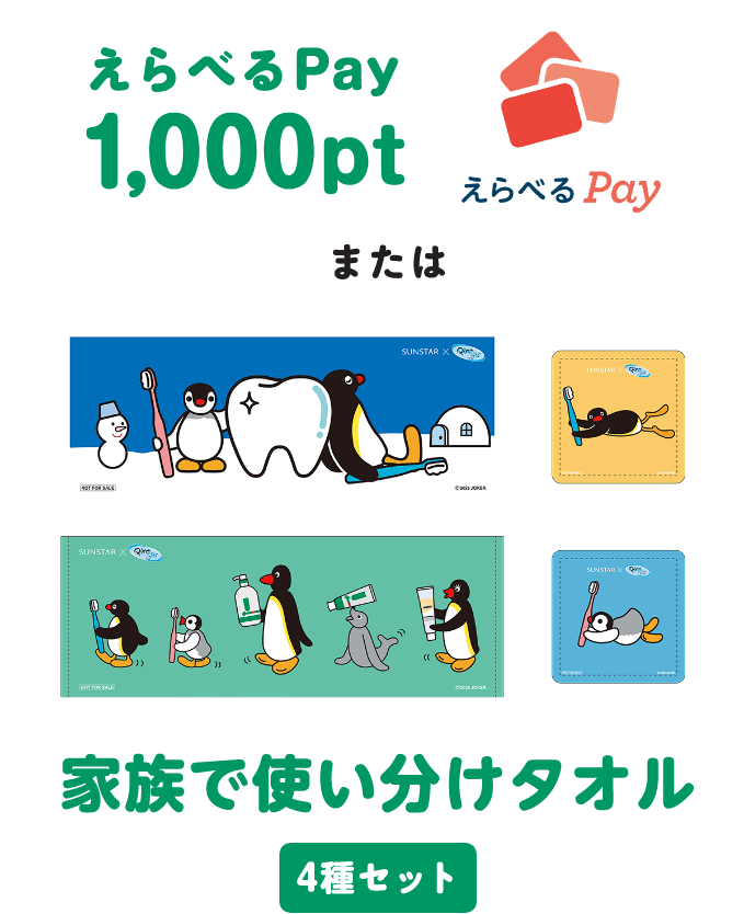 えらべるPay 1,000pt、または、家族で使い分けタオル4種セット