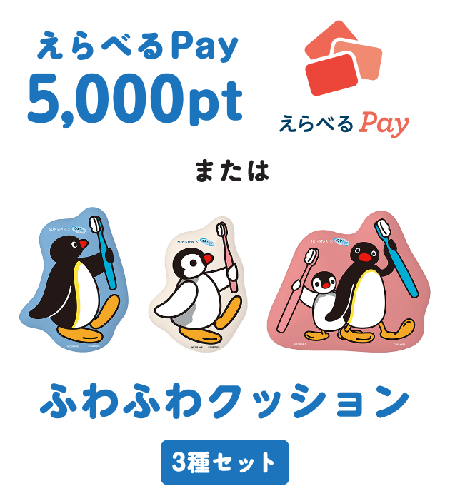 えらべるPay 5,000pt、または、ふわふわクッション3種セット